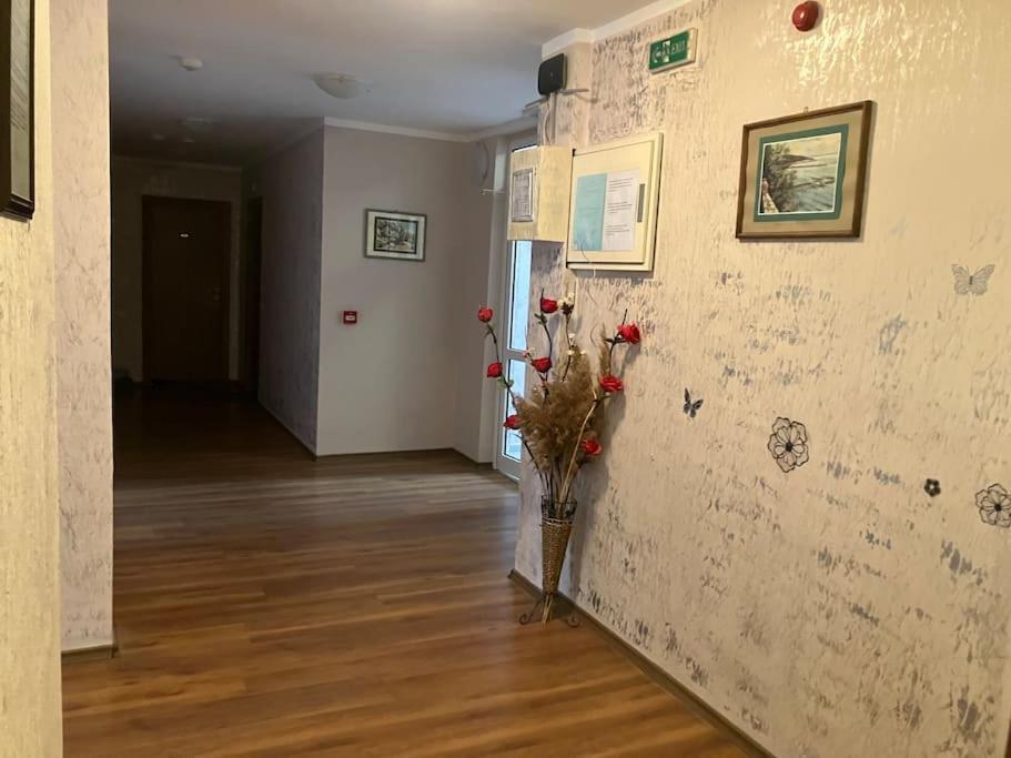 Joy Apartment ساني بيتش المظهر الخارجي الصورة